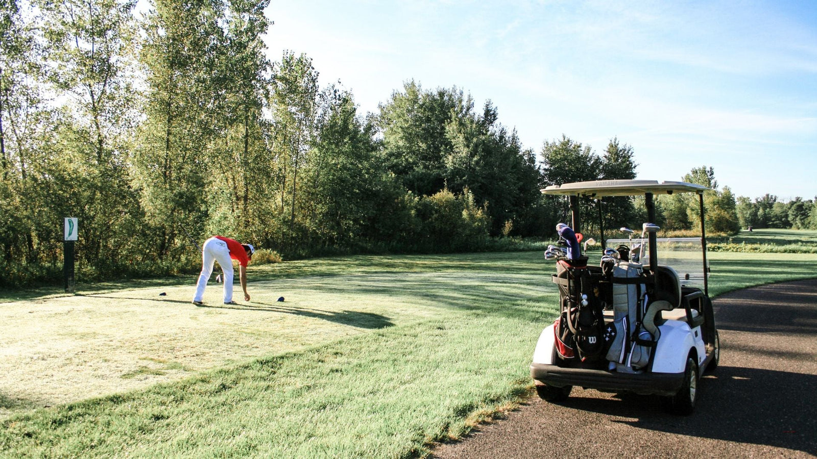 Understanding the Factors that Affect Golf Cart Battery Performance and Longevity