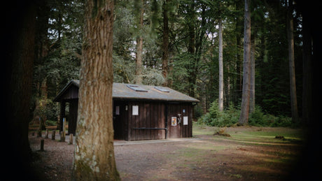 Best Pure Sine Wave Inverter for Your Cabin This Fall