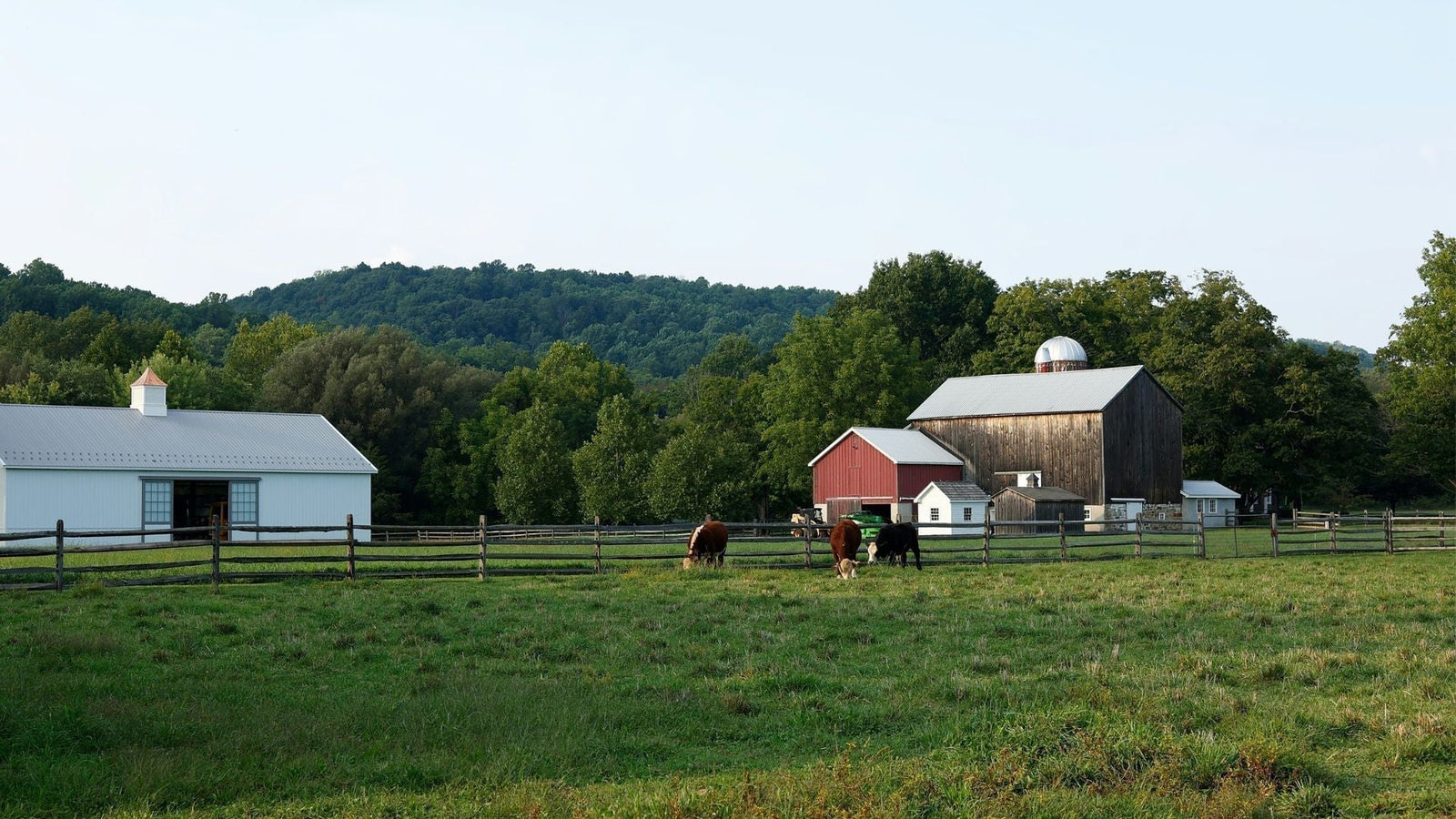 Why Solar Powered Cattle Water Pumps Are Essential for Farms
