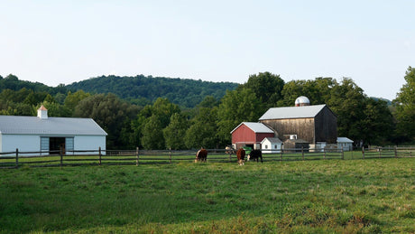 Why Solar Powered Cattle Water Pumps Are Essential for Farms