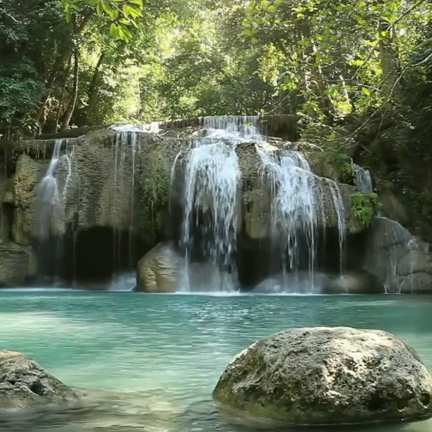 How to Use a Solar DC Water Pump for Drip Irrigation? and why?