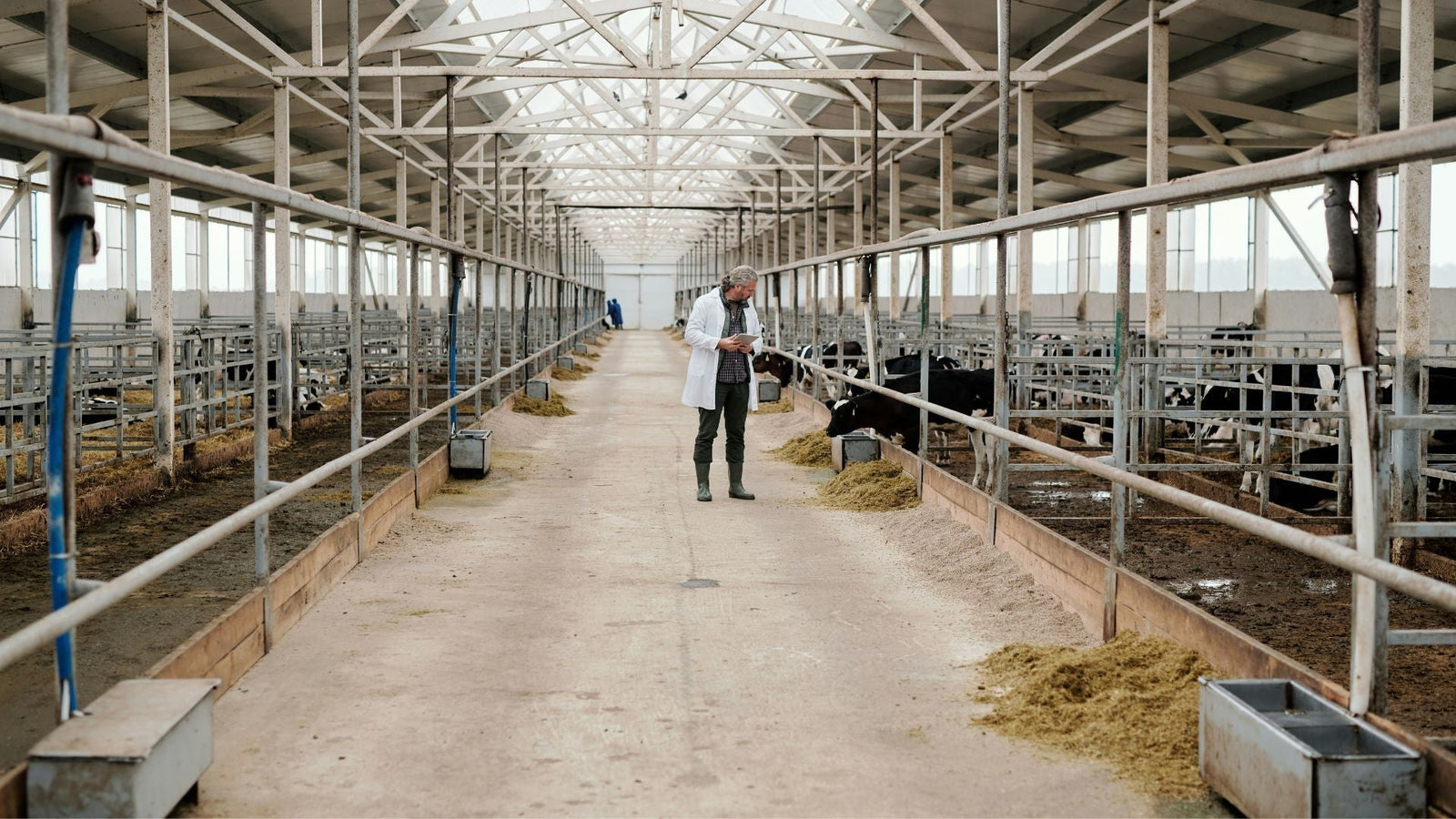 Why Solar Cattle Water Pumps Are Essential for Your Livestock