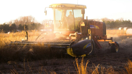 Why Solar Water Pumps Are Essential for Sustainable Farming