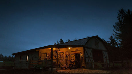 Top Tips for Picking the Perfect Solar Grid Tie Inverter for Home