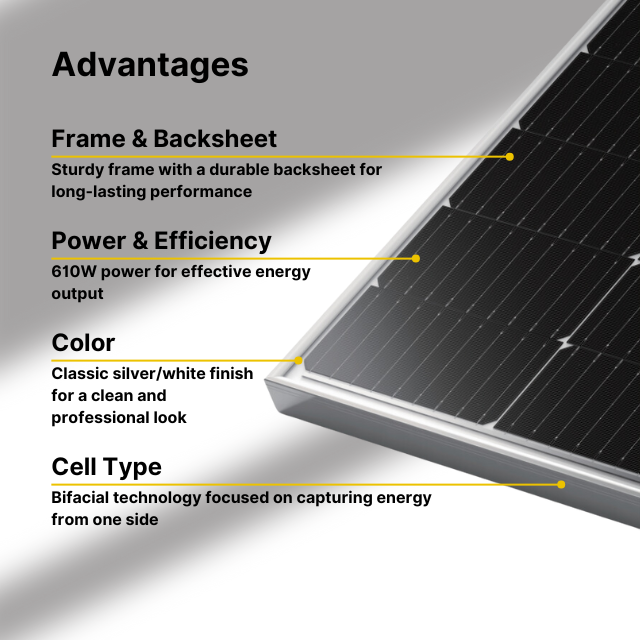 LONGi 610W Rigid Monocrystalline Bifacial Solar Panel