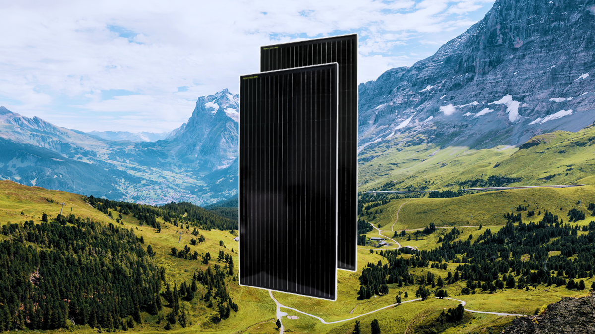Paneles solares